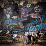 PRATER & DONAUKANAL