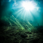 SUBMERGED